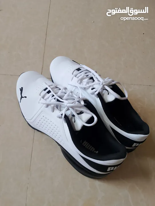 حذاء .Puma  اصلي بحال الوكاله لساته جديد وارد أروبي  الواحد ب 35