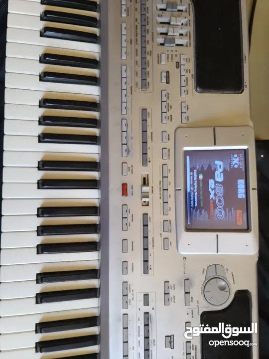 kORG pa800