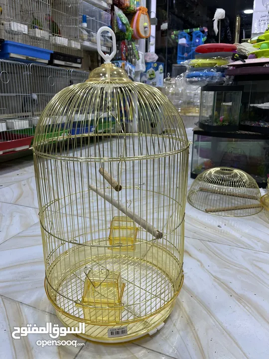 قفص دهبي مطاول
