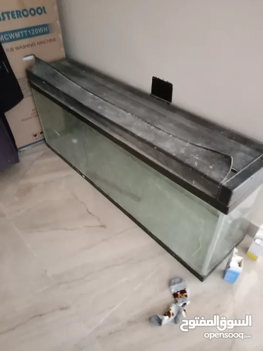 اوكواريوم حوض سمك للبيع - fish tank for sale size