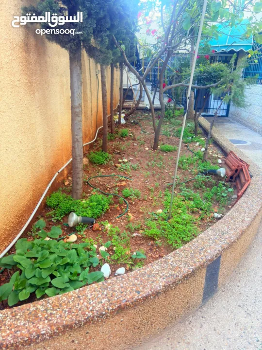 شقة مفروشة ارضية بمدخل خاص للايجار