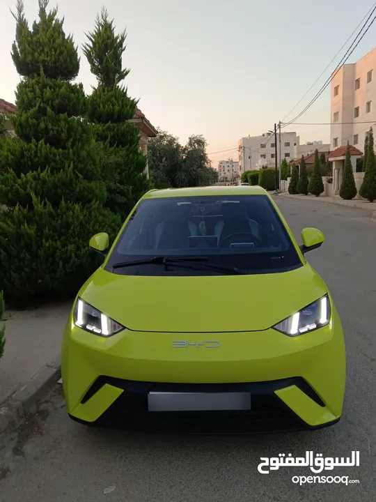 بي واي دي سيجال البطاريه الكبيره بسعر 11500