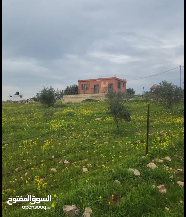 للبيع مزرعه 4.5 دونم في حمنانه المفرق ام حبل مخدومه