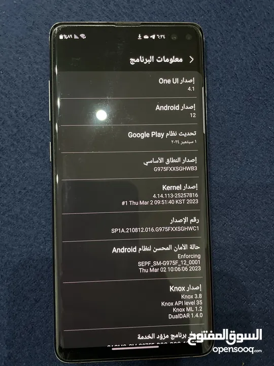 سامسونج S10 plus