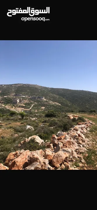 27دونم للبيع في مدينة سلفيت مقابل جامعة الزيتونة