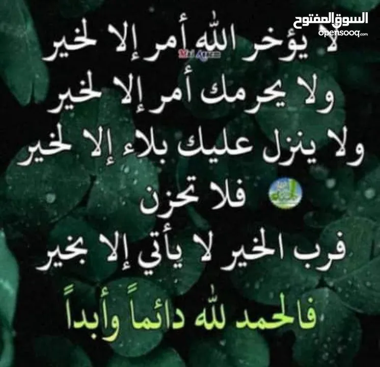 عرطه اليوم لطائع والديه هايلاندر 2009 امريكي عادها وارد حق تاجر مودرد محتاج فلوس يشتي يبيع