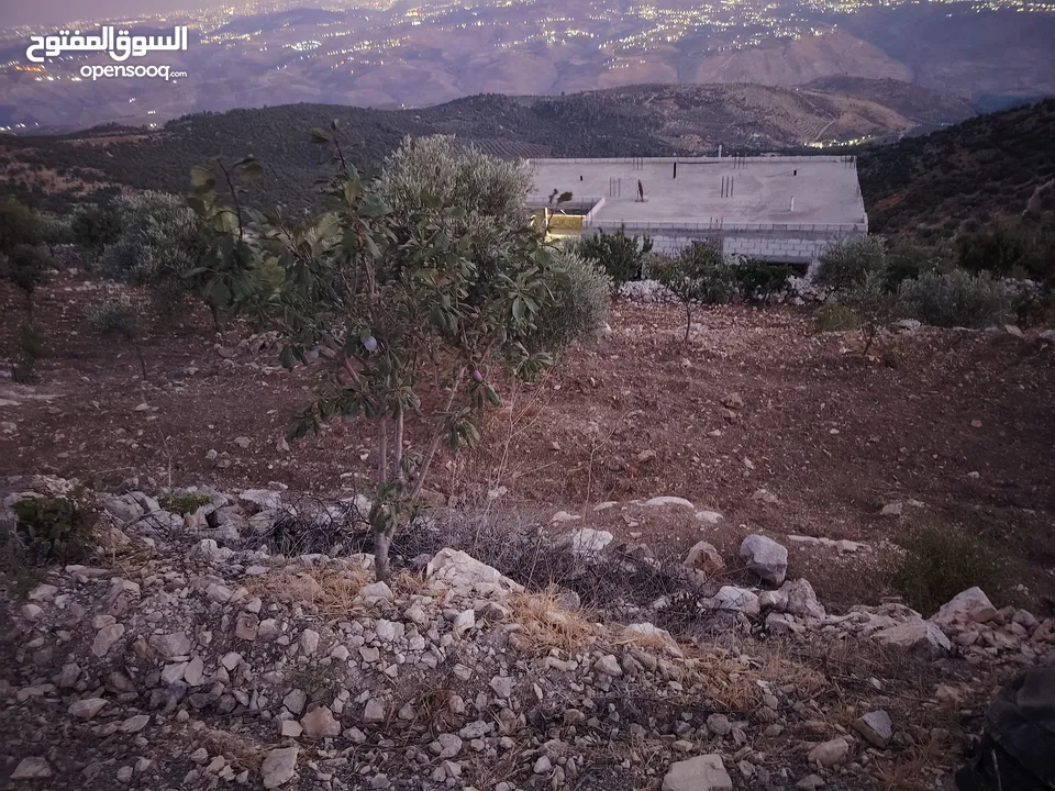 ارض للبيع مساحة4300م وعلى الواقع 12دونم تصلح بيت ريفي شاليه ارض زراعيه ويوجد فيها بيت قيد الانشاء