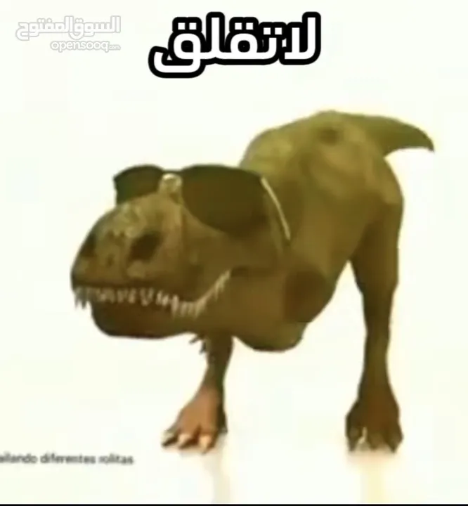 مطلوب كلب صغير جرو