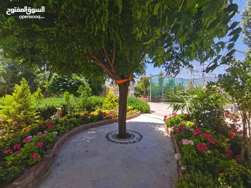 مزرعة للايجار عمان شارع الاردن