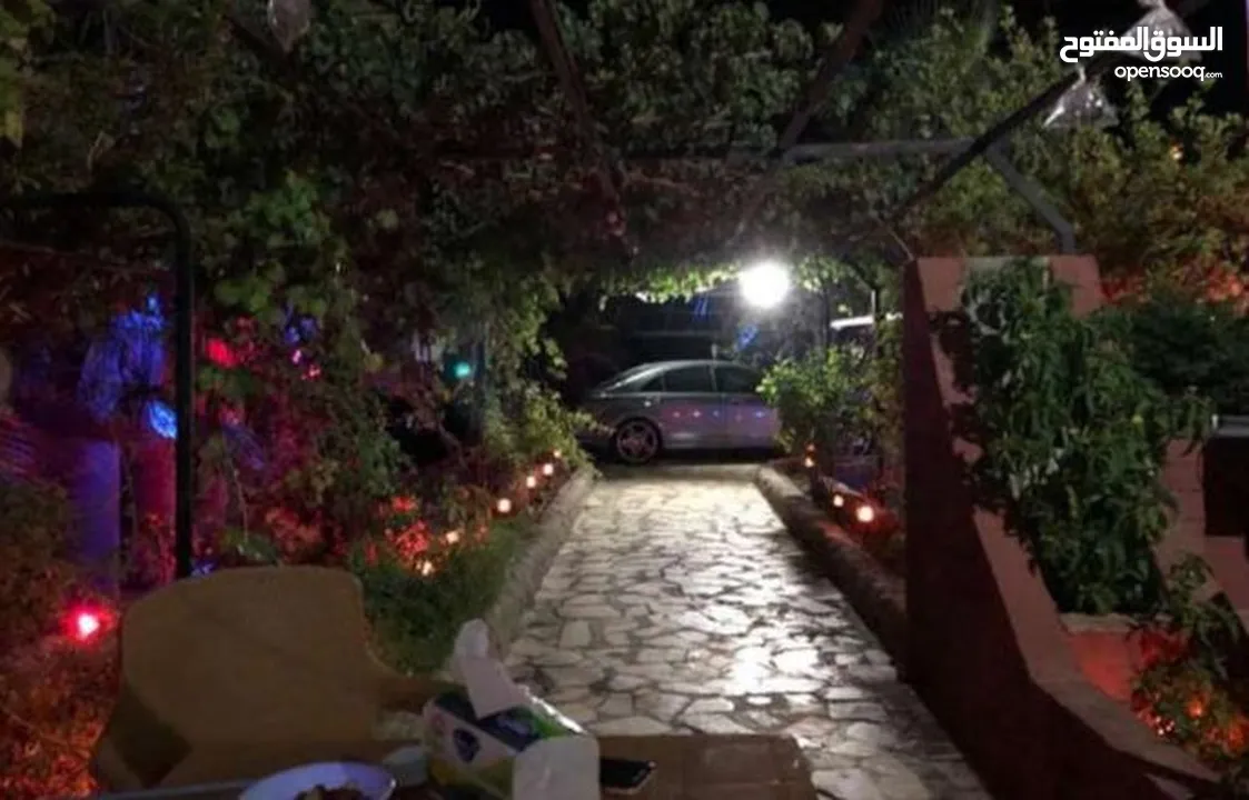 مزرعة مميزة و مشجرة للبيع بسعر مغري