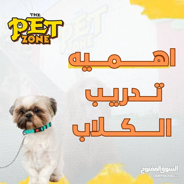 اهميه تدريب الكلاب
