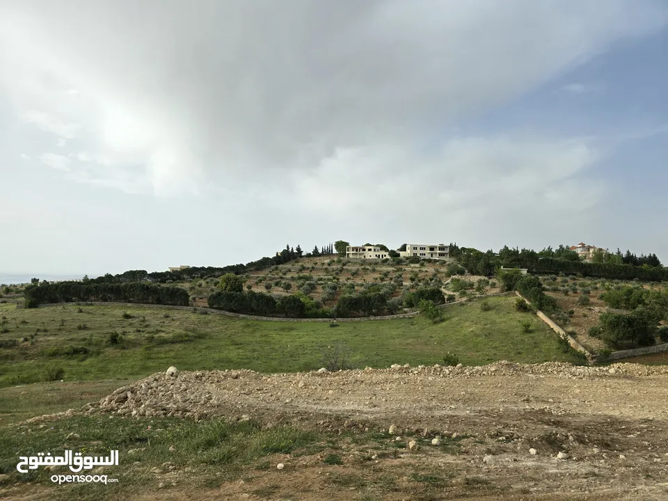 غرب سوف سهلات الغربيه قرب قصر السفير الاماراتي منطقه فلل و مزارع راقيه