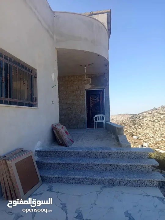 محمد الصبيحي