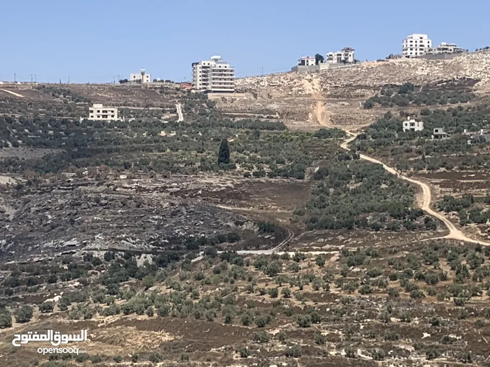 ارض بناء في محيط حي العامرية الجنوبي