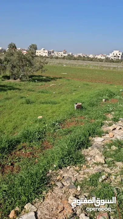 ارض للبيع كاش أو تقسيط او بدل اربد بشرى بالقرب من مدارس ساغو  456 م2