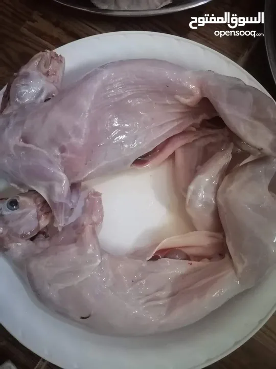 طعام تواصي بيتي