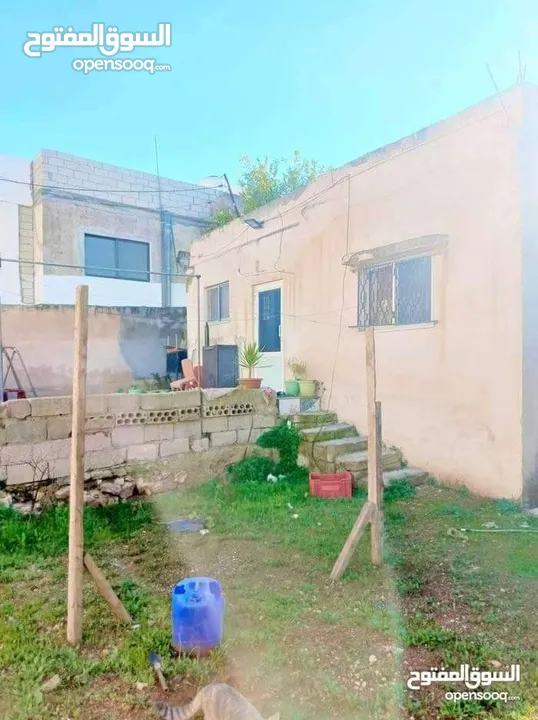 منزل للبيع بيت مستقل   في العلكوميه قريب  مسجد ابو بكر. كوشان مشترك مكون 2غرف نوم صالون حمام مطبخ  ز