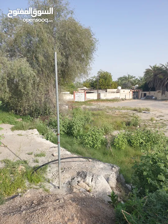 مزرعة للبيع بموقع مميز قريب للخدمات والسعر مناسب