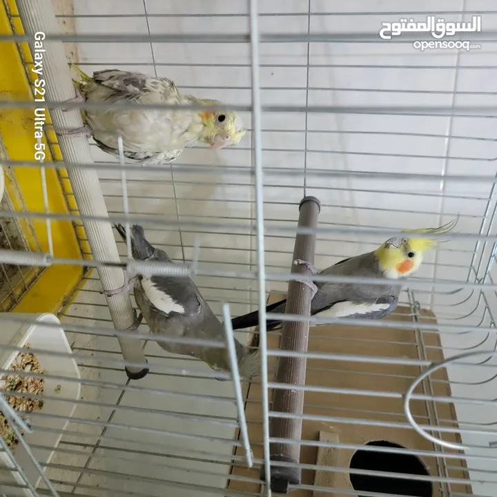 متاح كوم كنار ومعاكيف بسعر مناسب