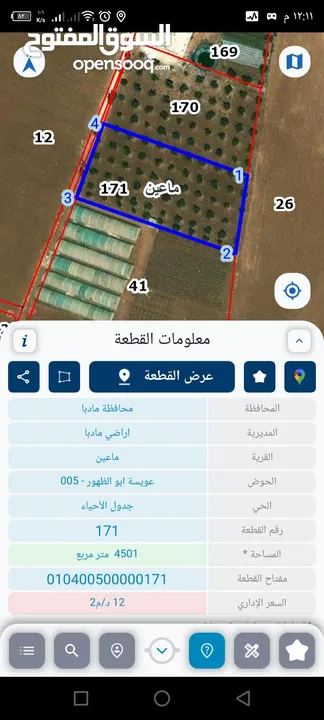 مادبا ماعين ارض زراعية مميزة عليها مزرعة زيتون جاهزة واصل جميع الخدمات مساحتها 4500 م