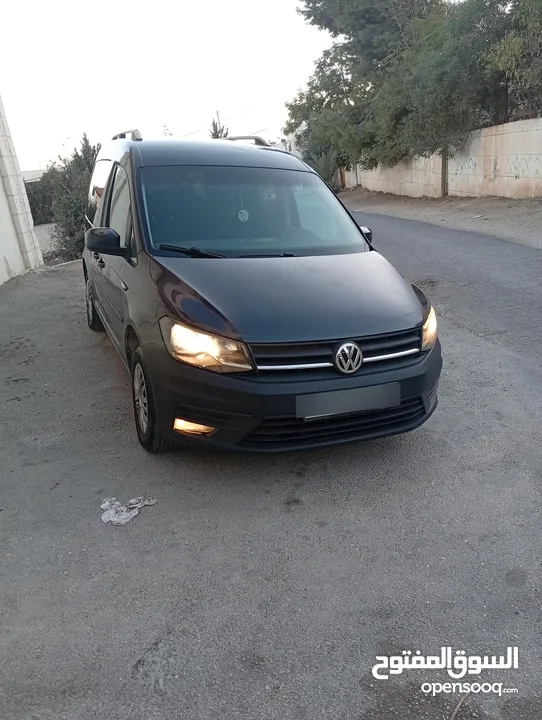 كادي القصة الجديدة سعر حرق على الكاش