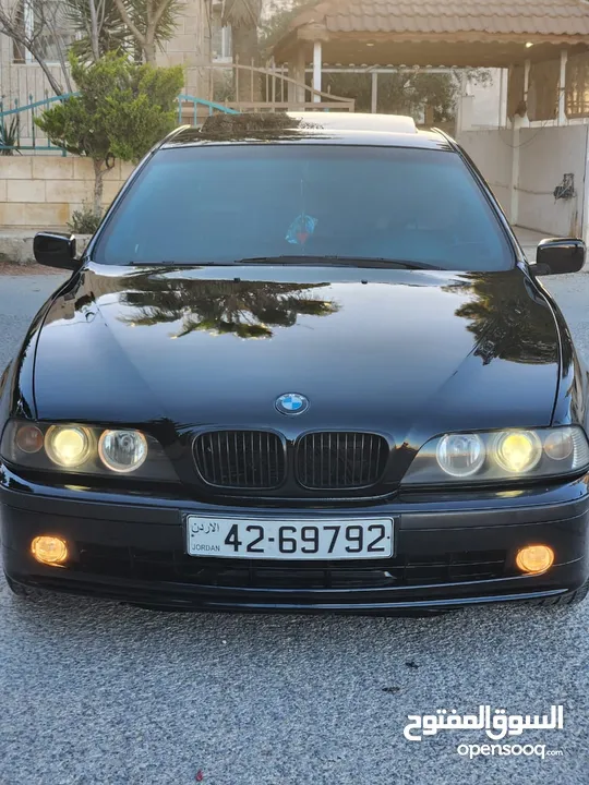 BMW E39 الدب