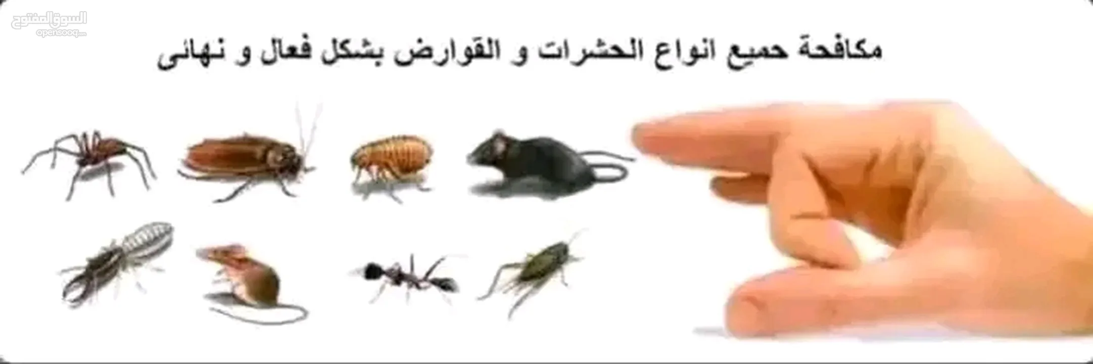 قص تشكيل  الأشجار تنظيف رش المبيدات اللأزمة