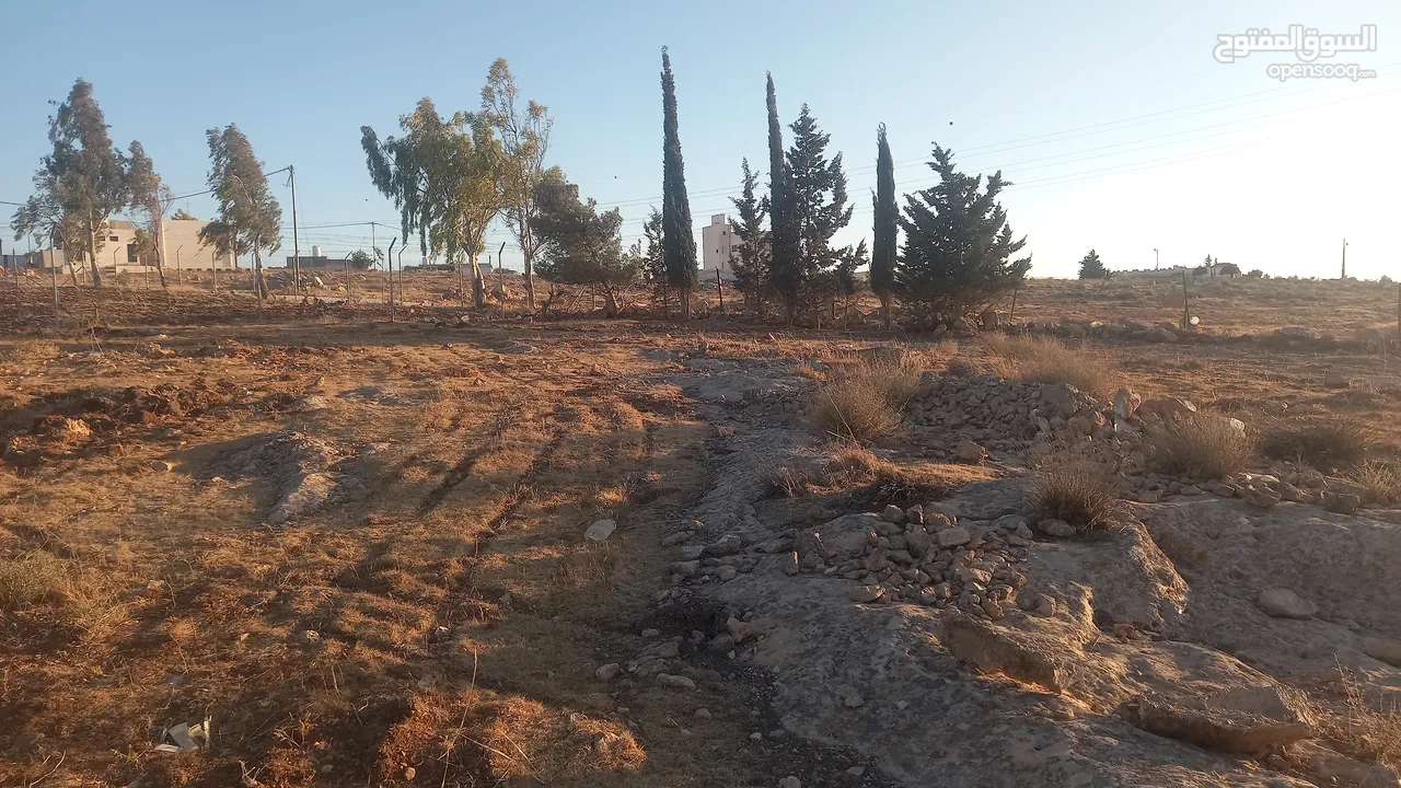 أرض داخل التنظيم للبيع
