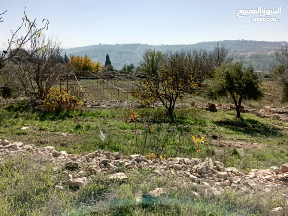 مزرعه  للبيع ..منطقه مرتفعه..وماله.. مشجره...تحتوي 2 بير ماء...مزرعة دواجن 5 آلاف طير...مخدومه كهربا