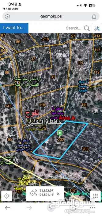 ارض مطلة عالية من اراضي تفوح على الخد مع دورا في منطقة الرقادي مزروعة زيتون دفعة بسيطة وتقسيط طويل