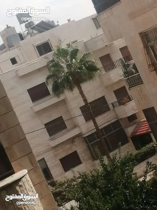 شقه للايجار الموقع الجاردنز 200