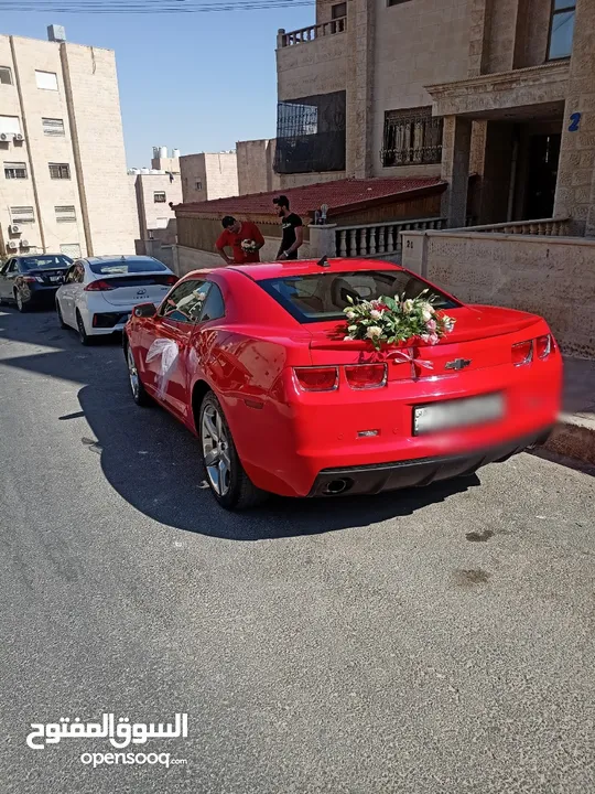 فورد موستينج كشف للأعراس والمناسبات والايام