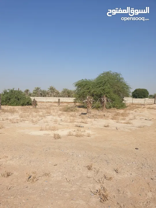 مزرعة للبيع بموقع مميز قريب للخدمات والسعر مناسب