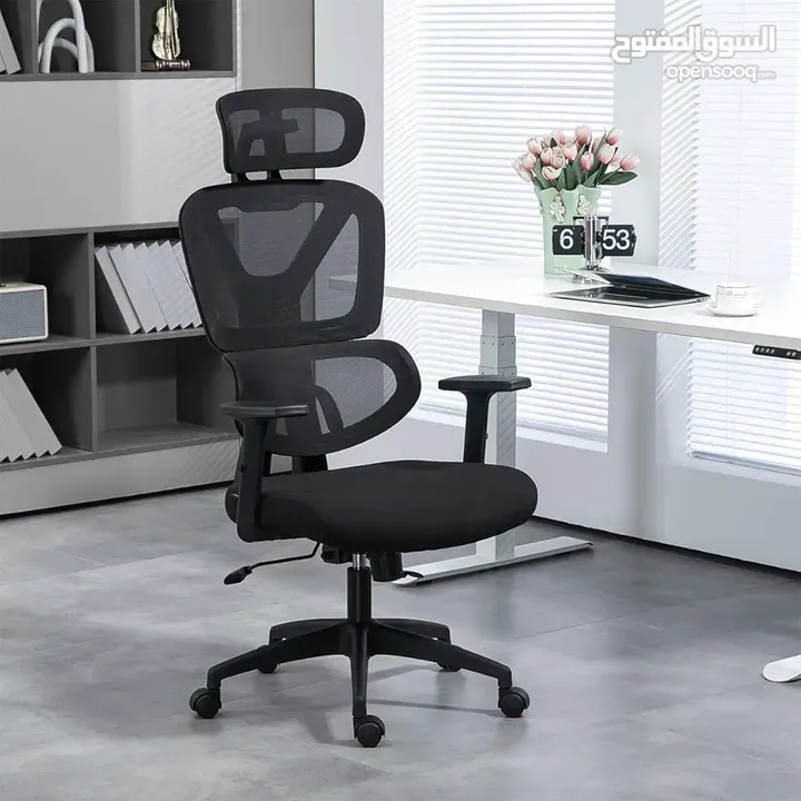 كرسي مكتب Lioncin Ergonomic،، كرسي كمبيوتر يدعم أسفل الظهر مع عجلات ومسند ذراع قابل للتعديل