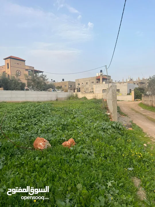 عمر دار خليل