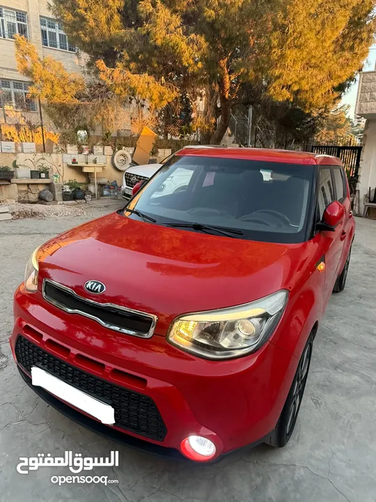 حرق حرق حرق كايا سول 2016 ولا ضربة قارن الاسعار