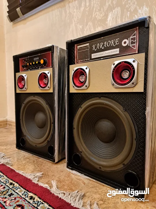 Bluetooth DJ Speakers