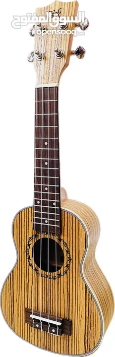 Gift your KIDS Ukulele soprano brand NEW