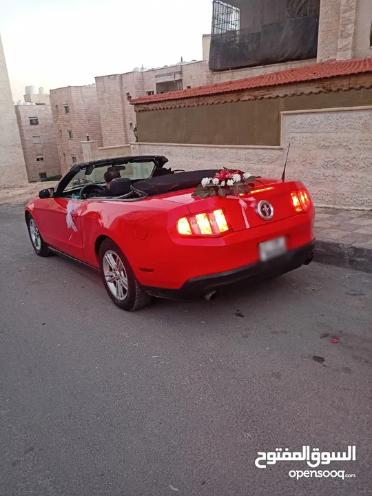 فورد موستينج كشف للأعراس والمناسبات والايام