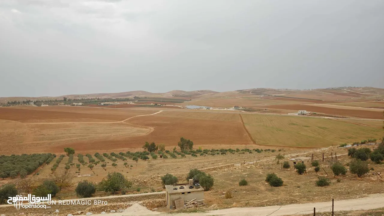 بيت عظم مستقل للبيع غير مرخص والارض غير مرخص قرية الفلاحات غرب الشارع الرئيسي مسافة يبعد