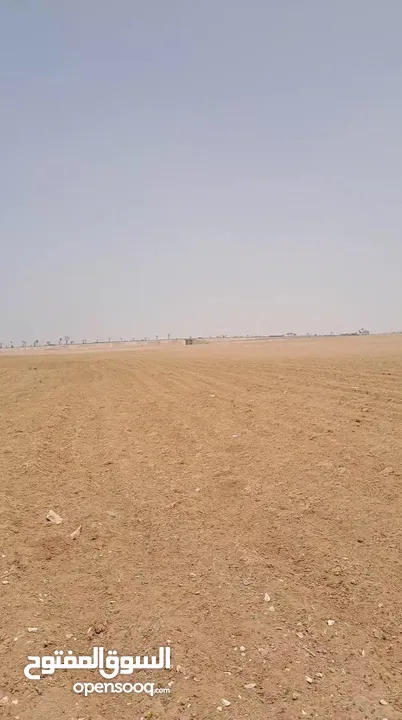 نمرة 625 متر خلف فندق مطار الملكة علياء تصلح لشاليه