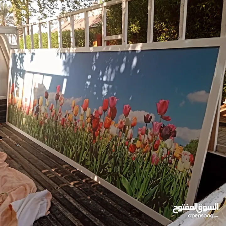 مجموعه صور احجام مختلفه