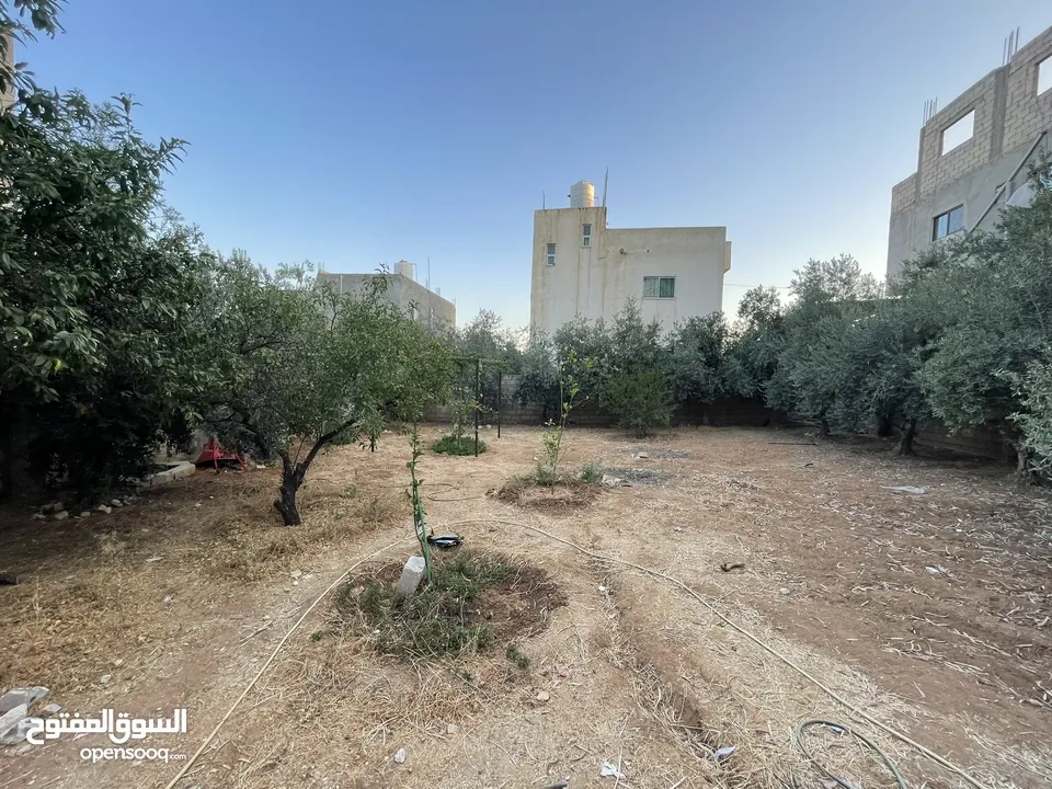 عمارة للبيع في سحاب/العبدلية