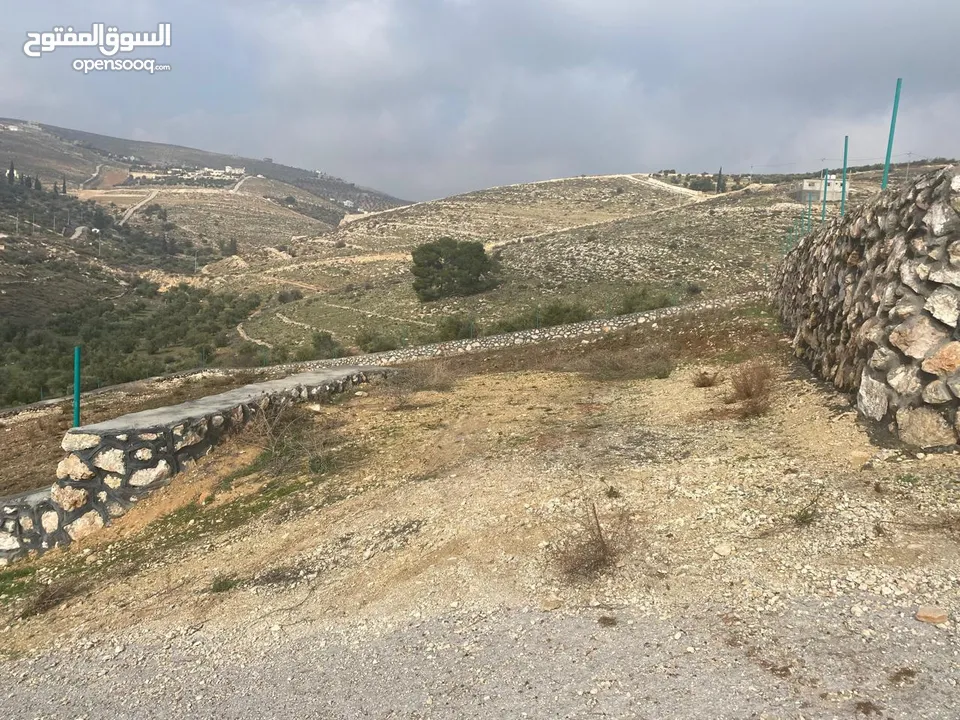 قطعة ارض زراعية منطقة ام رمانة قريبة من التنظيم