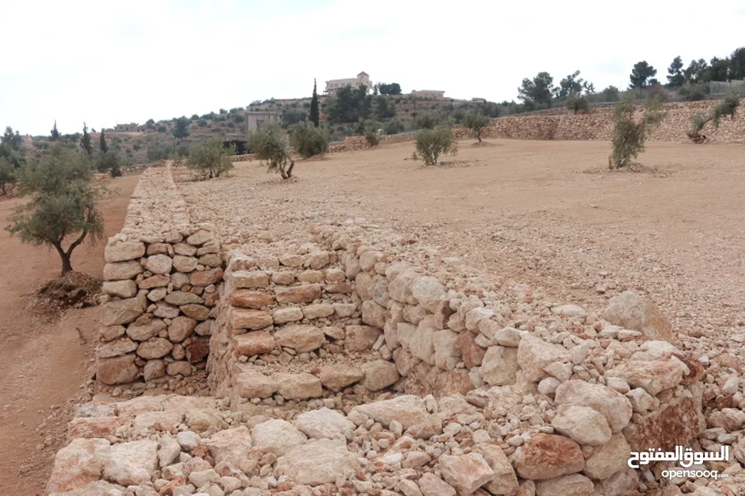 قطعة ارض للبيع مواصفات عالية جدا .المفرق-حدود جرش-قرية نادرة-حوض الطوشة