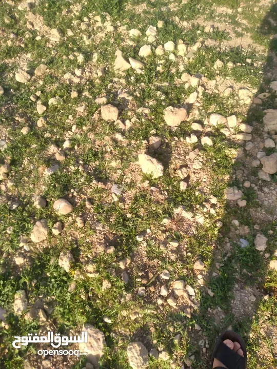 قطعة أرض للبيع مميزة بأطلالة مرتفعة وبسعر مغري