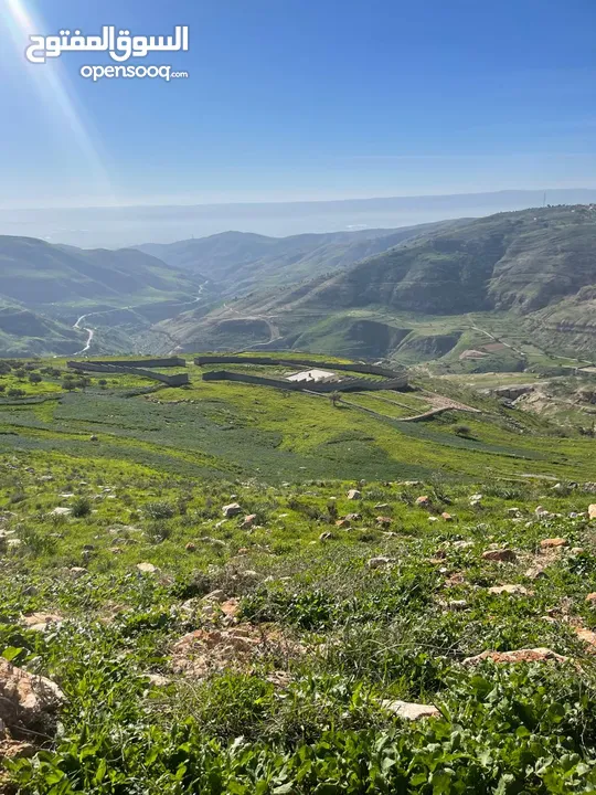 3.400 ماحص بعد الميده