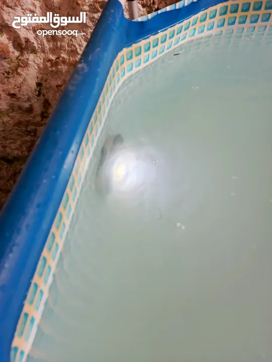 مسبح ماء  للبيع بحاله الوكاله