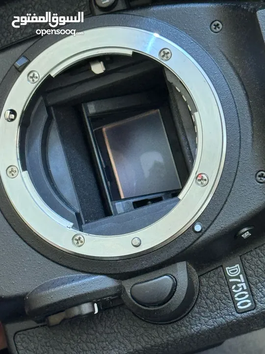 كاميرا nikon D7500