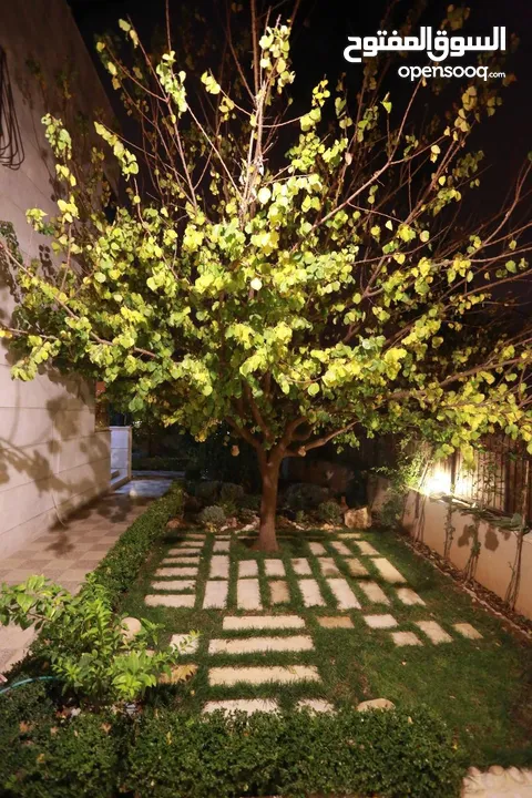 Fully Furnished Villa for rent